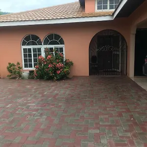 https://raines-studio-and-more.comcaribbean.com
